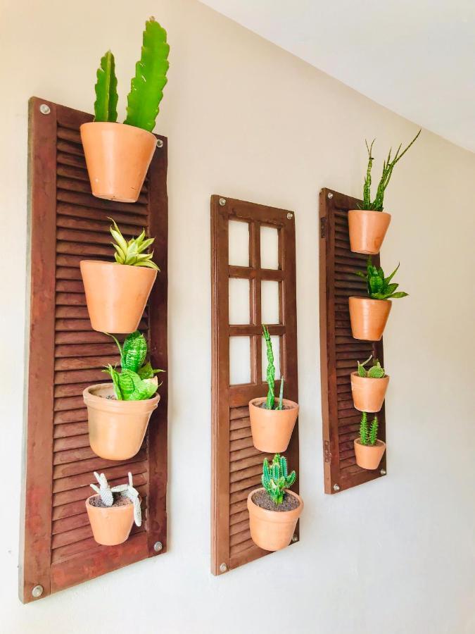 Pousada Ilha Do Encanto Velha Boipeba Ngoại thất bức ảnh